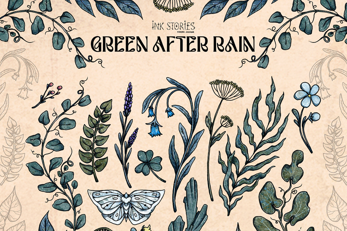 Green After Rain Botanical Set, an Object Illustration by Ink Stories (Photo 2 of 13)