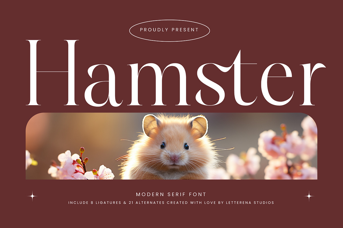Hamster Modern Serif Font, a Serif Font by Letterena Studios (Photo 1 of 15)