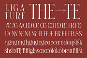 Wondrey - Modern Elegant Branding, a Serif Font by Qweera Studio (Thumbnail 10 of 12)