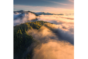 Aerial view of forest on alpine, a Nature Photo by den-belitsky