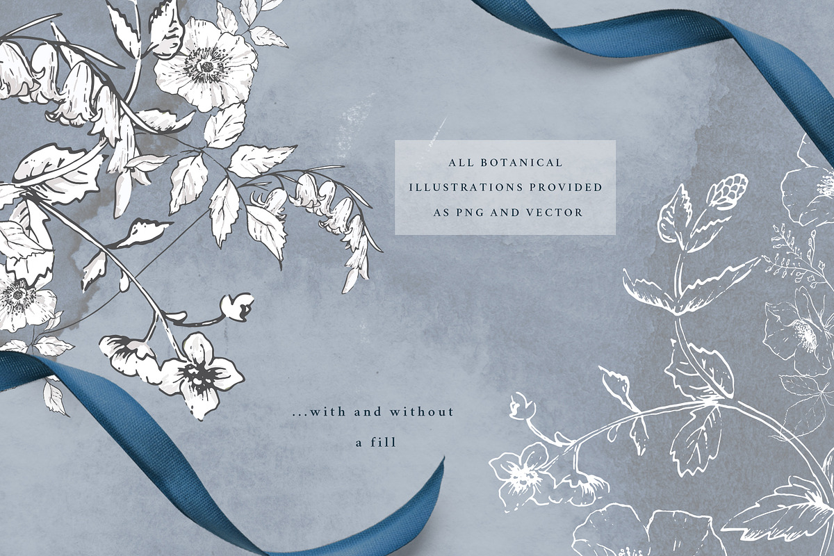 Botanical Graphic Collection, an Illustration by Twigs and Twine (Photo 7 of 10)