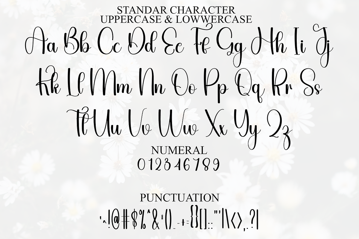 Flourish, a Handwritten Font by InermediaSTUDIO (Photo 4 of 8)