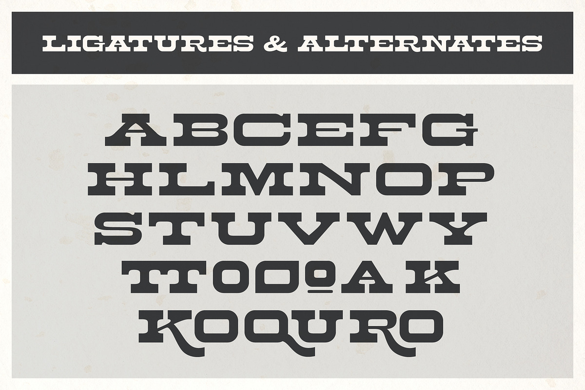 Palm Ridge Midcentury Southwest Font, a Serif Font by Molly Suber Thorpe (Photo 15 of 15)
