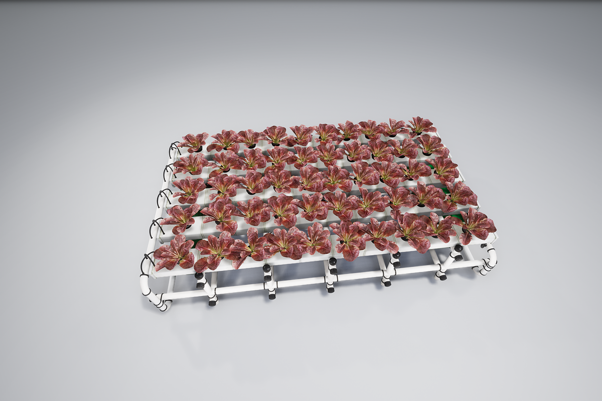 Hydroponics system LG, an Environmental 3D Model by AndrewWhite (Photo 15 of 17)