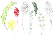 Watercolor clipart Peony Gentle Kiss, an Illustration by AqwaColor (Thumbnail 3 of 5)