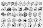 Seashell SVG Bundle, an Object Graphic by Dervik Art Store (Thumbnail 3 of 5)