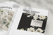 Watercolor White Flowers Collection, a Decorative Illustration by Damian Roh (Thumbnail 6 of 16)