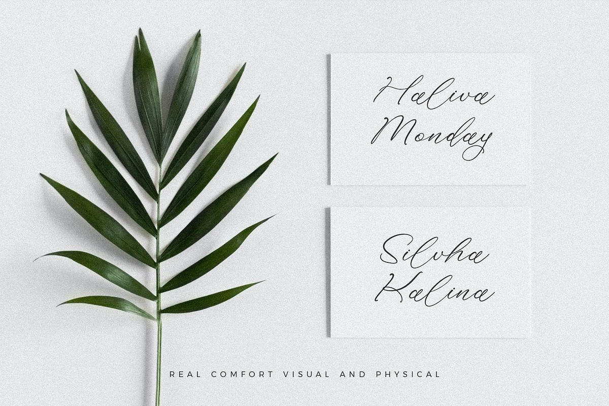 Holicakes Serfinah Beauty Script, a Script Font by Storytype Studio (Photo 9 of 15)