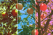 Cross Processing - Photoshop Action, an Action Add-On by Nostal Studio (Thumbnail 4 of 8)