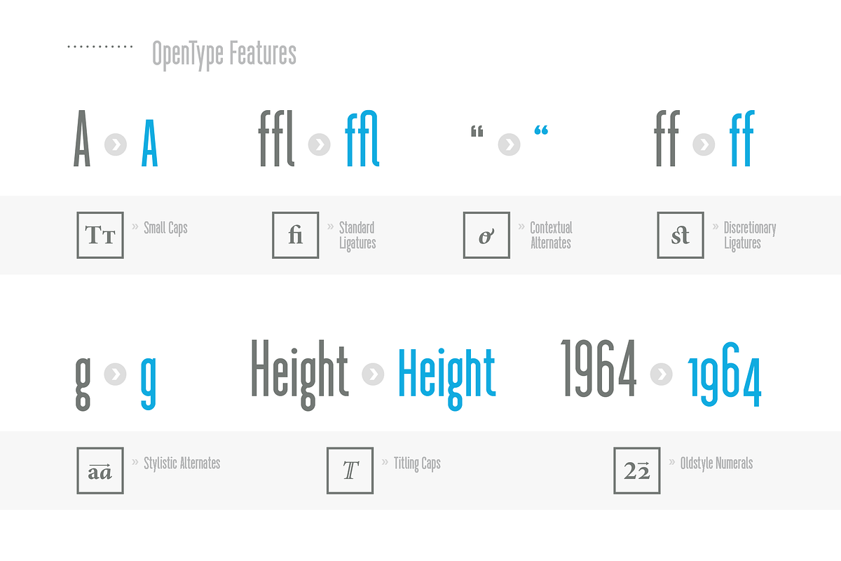 Longitude Font Family preview 6