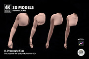 8 half Sleeve Procreate 3d Models v2, a Brush Add-On by Luuuka studio (Thumbnail 3 of 6)