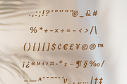Dariul Sans Font Family, a Sans Serif Font by Creative Foundry (Thumbnail 7 of 8)