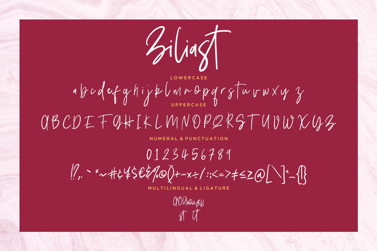Ziliast Signature Business Font preview 7