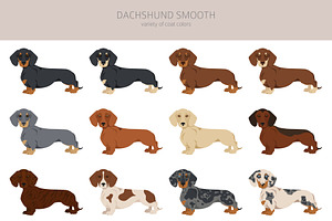 Dachshund Smooth Clipart