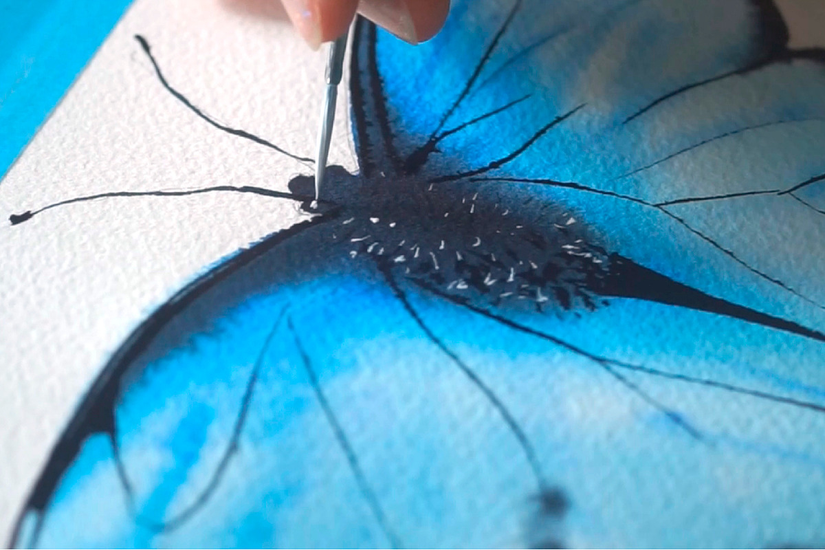 Butterflies Watercolor clipart, an Object Graphic by Olga Bonitas (Photo 3 of 8)