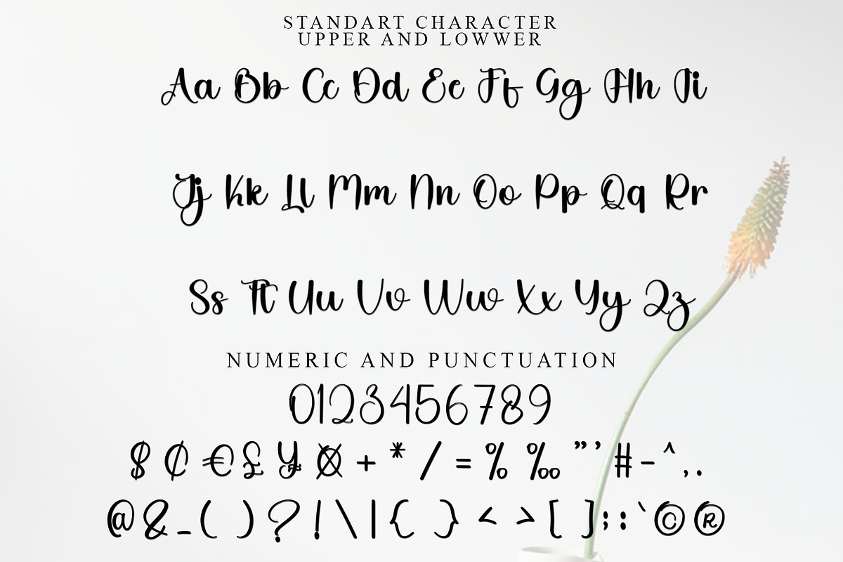 Dialog Lovely, a Handwritten Font by FreshTypeINK (Photo 5 of 7)