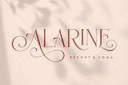 Nirotica, a Serif Font by TRF Fonts (Thumbnail 2 of 19)