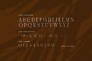 Soraya Elegant Display Serif Font, a Serif Font by Perfectype (Thumbnail 7 of 8)