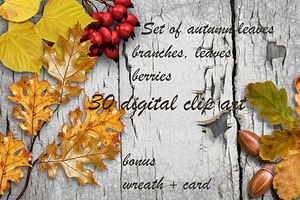 Autumn leaves and berries
