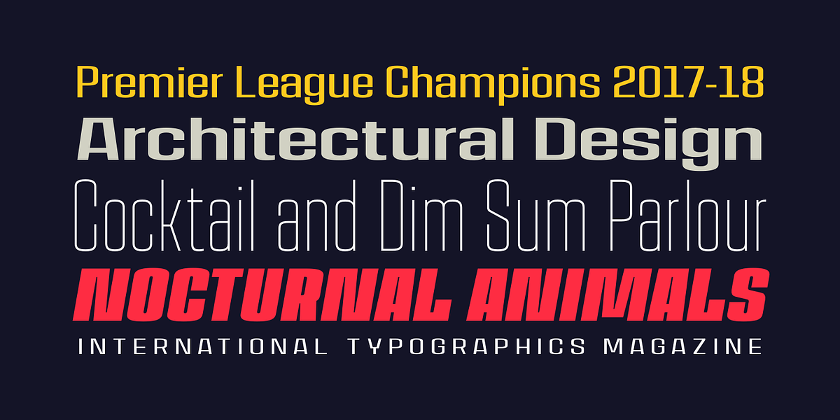 House Sans, a Sans Serif Font by TypeUnion (Photo 9 of 15)