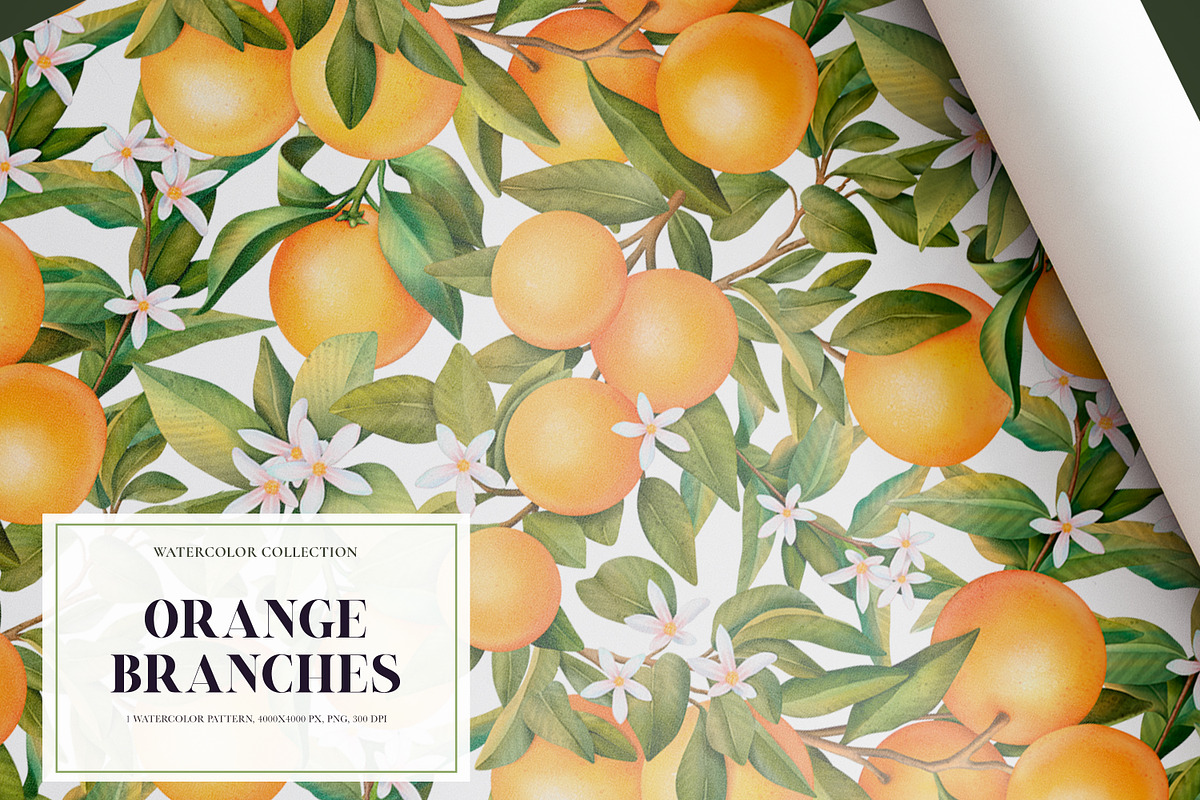 Orange Branches. Watrecolor PNG, an Illustration by OlyaGutArt (Photo 6 of 6)