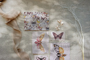 Cicada - Insects & Flowers Ink Set, a Texture Illustration by Kaleriia (Thumbnail 9 of 10)