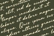 Challing - Romantic Calligraphy Font, a Script Font by Alpaprana (Thumbnail 2 of 12)