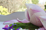BUNDLES OF BLISS–Styled Stock Photos, a Product Mockup by Pepperbelle Tinkers (Thumbnail 5 of 7)