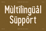 Cleudia Duo Font Sans Serif, a Sans Serif Font by Storytype Studio (Thumbnail 11 of 15)