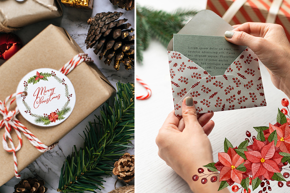 Christmas Florals, Poinsettia, an Object Graphic by ilonitta (Photo 15 of 18)