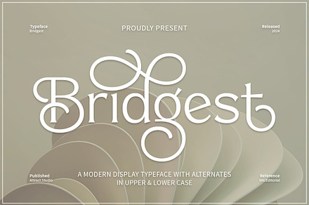 Bridgest, a Serif Font by Attract Studio