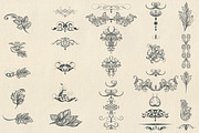 Bundle of vector vintage flourishes, an Object Graphic by FleurArt (Thumbnail 17 of 19)