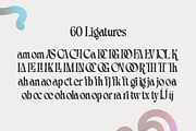 Capriola - Sophisticated Typeface, a Serif Font by HipFonts (Thumbnail 6 of 15)