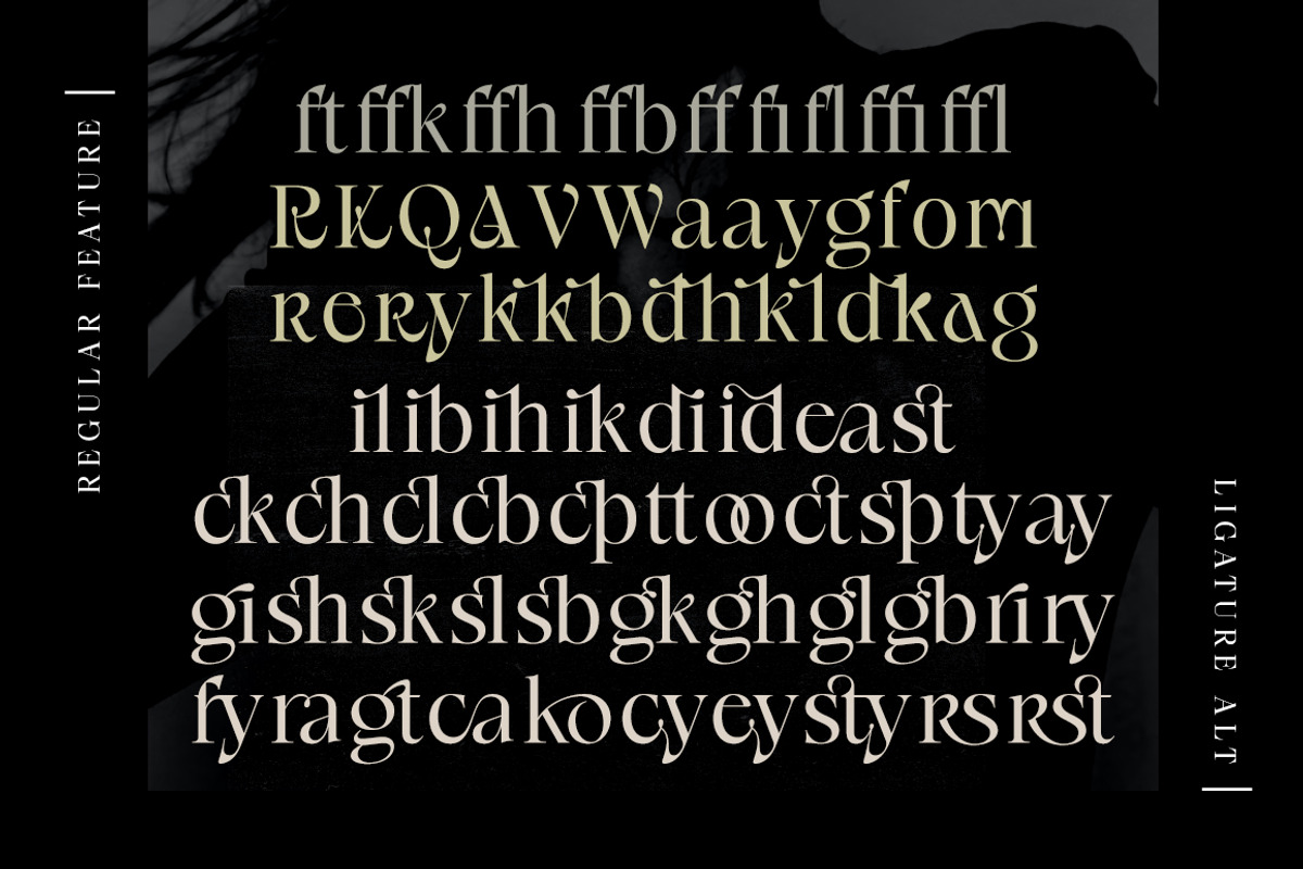 Radilen Aveline, a Serif Font by Dora Typefoundry (Photo 16 of 18)