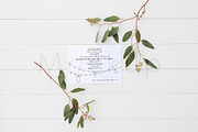 5x7 Stationery Mockup - Eucalyptus 1, a Print Template by ILLONA GRAPHICS (Thumbnail 5 of 5)