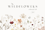 Wildflowers Watercolor Wild Botany, a Decorative Illustration by Kreker Kate (Thumbnail 1 of 11)