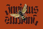 NCL Enigmatic Waesbendiy, a Blackletter Font by Enxyclo Studio (Thumbnail 9 of 18)
