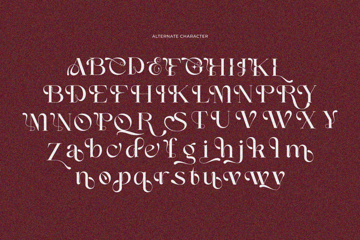 Anajem Serif, a Serif Font by zaaintype (Photo 8 of 11)