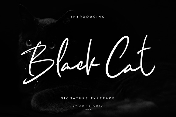 Black Cats Siganture Font preview 6