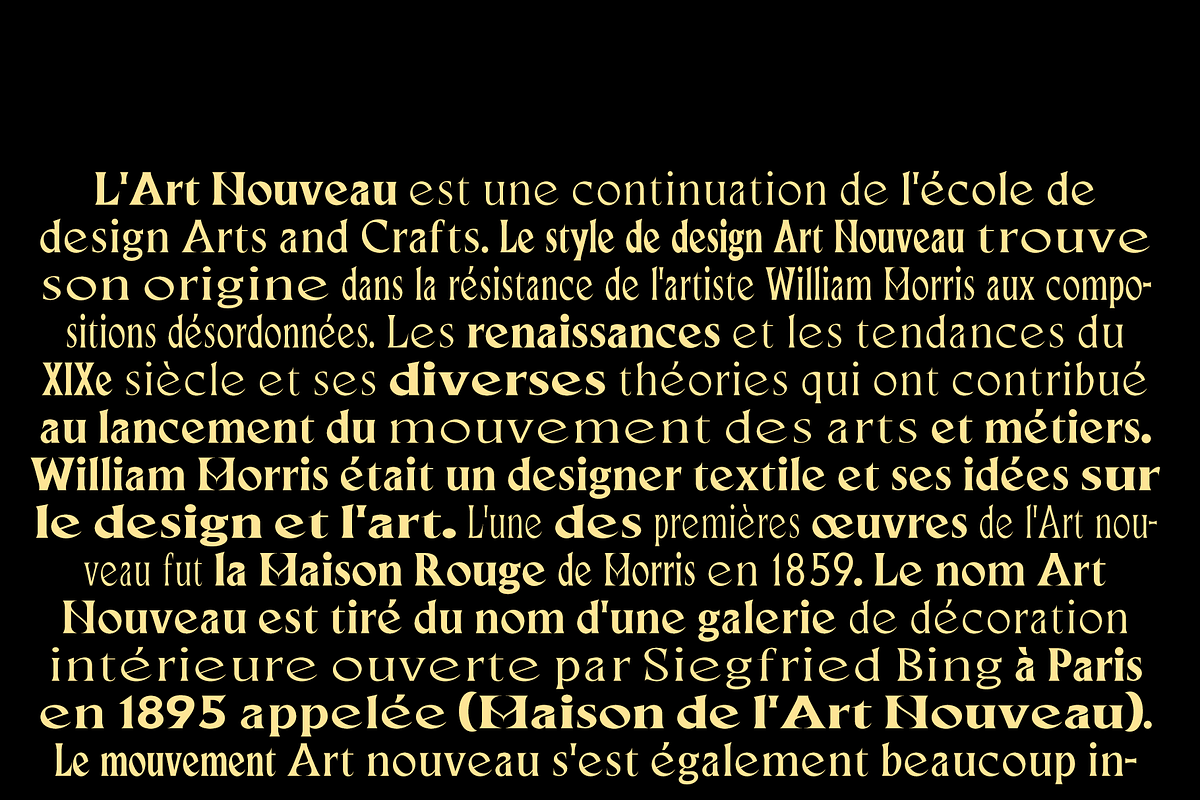Neela | Serif Nouveau Typeface, a Serif Font by By Kineks (Photo 10 of 11)