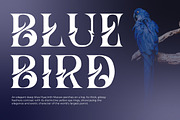 Hizba – Luxury Ornamental Serif Font, a Serif Font by kangfont Studio (Thumbnail 9 of 10)