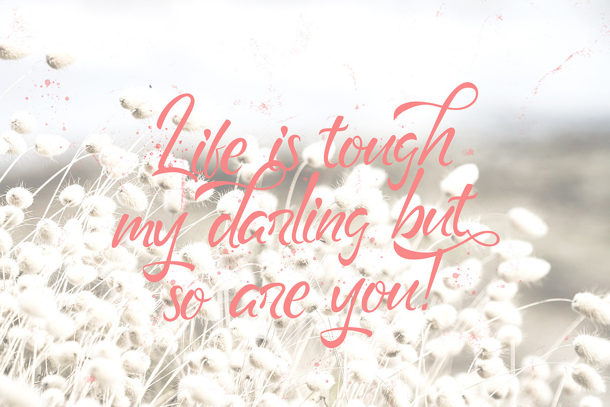 Geng Rimba - Modern Script Font, a Script Font by StringLabs (Photo 8 of 13)