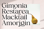 Megalky | Modern Elegant Serif Font, a Serif Font by Rissyletter Studio (Thumbnail 5 of 12)