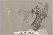 Platinum Palladium Prints LUTs, a Plug-in Add-On by Raztrend (Thumbnail 7 of 32)