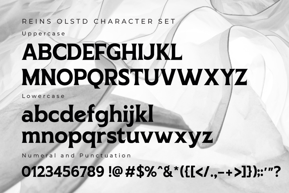 REINS Olstd - Display Serif, a Serif Font by Olexstudio (Photo 6 of 6)