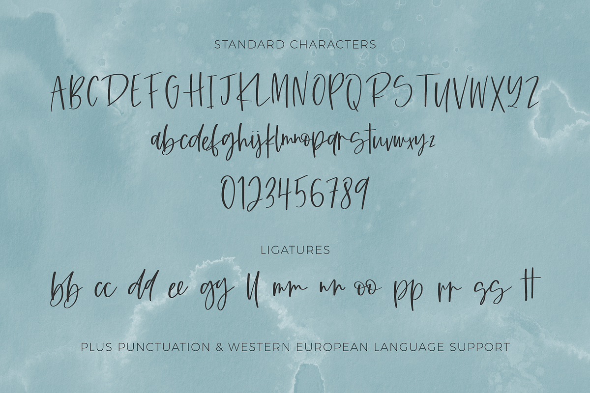 Caravanner Script Font, a Handwritten Font by Beck McCormick (Photo 9 of 11)