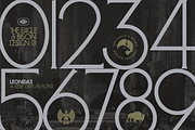Leonidas, a Serif Font by Eagle & Bison Design Co. (Thumbnail 3 of 6)