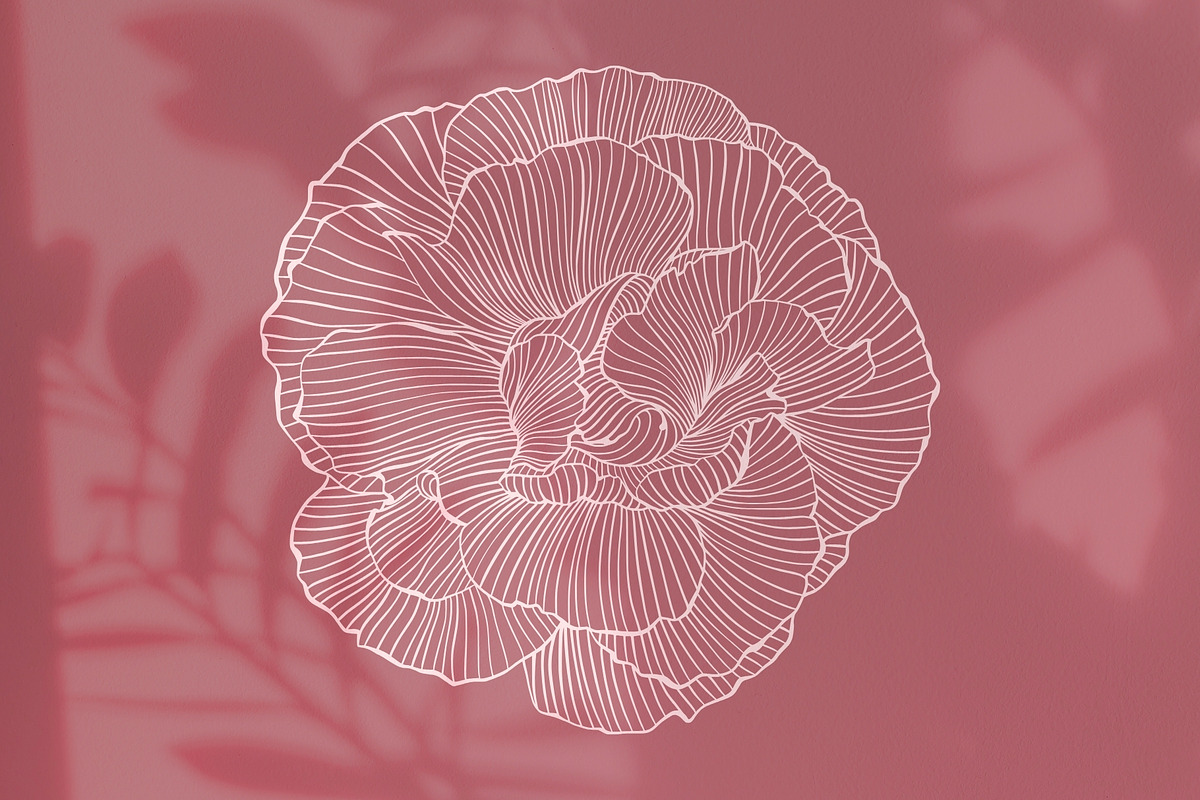 Whimsical Flowers Collection, a Decorative Illustration by ilonitta (Photo 4 of 12)