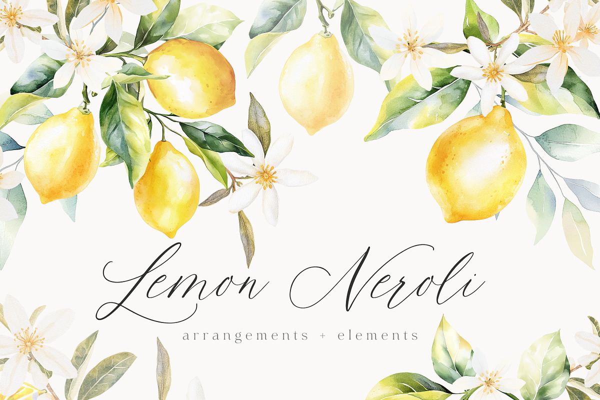 New! Timeless Library Edition, a Graphic by Isabelle Salem (Photo 72 of 211)