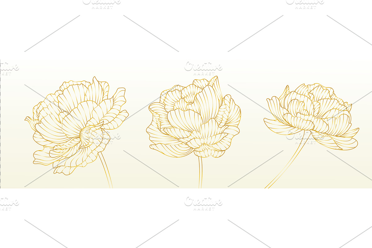 Golden line peony flowers set on, an Object Illustration by art PVP - market